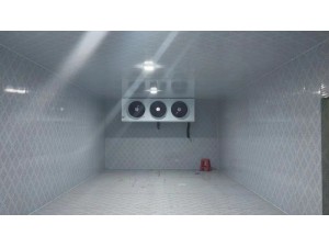 上?！ぜ味?10立方桃子冷藏庫