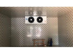 上?！ぜ味?20立方南瓜冷藏冷庫