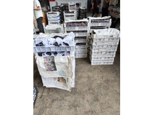 上海·嘉定100立方葡萄冷藏庫