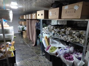 上海·嘉定45立方鮮花冷庫保鮮庫
