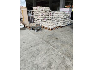 上?！ぜ味?0立方大蒜冷庫保鮮庫