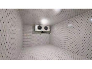 上海·嘉定140立方冷凍庫(kù)