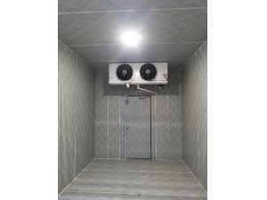 上?！ぜ味?8立方啤酒飲料保鮮冷藏庫(kù)