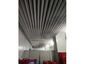 上?！ぜ味?00立方冷凍庫(kù)（可放100噸貨）-18度