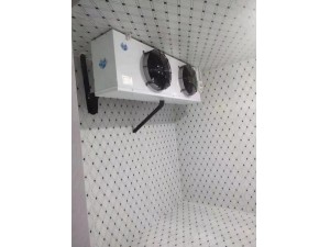 上海·嘉定55立方（雙溫庫(kù)）保鮮0-10℃ 冷凍-18-0℃