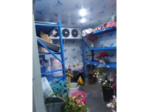 上海·嘉定30立方鮮花保鮮冷庫(kù)