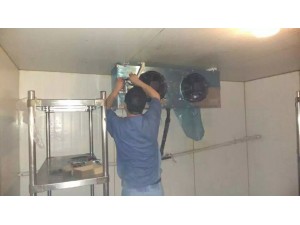 福建.南平 100立方茶葉保鮮庫(kù)