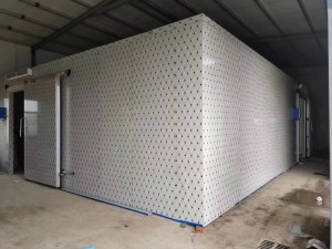 江西.新余 245立方冷凍庫