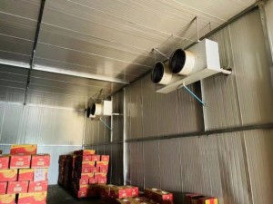 江西.瑞昌 1000立方香蕉庫