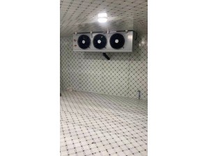 九江·廬山280立方冷凍庫