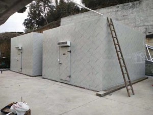 江西·南昌安義50立方鋼排粉條凍庫