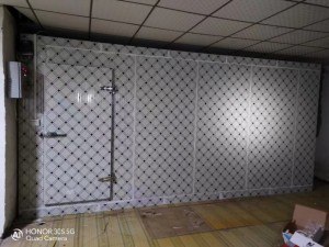 江西·萍鄉(xiāng)160立方速凍庫