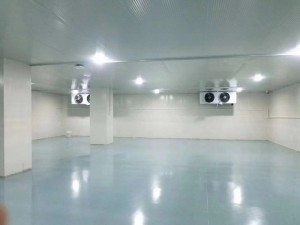 上?！ぜ味?50立方冷凍庫