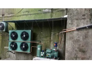 上海·嘉定400立方異型排管冷庫